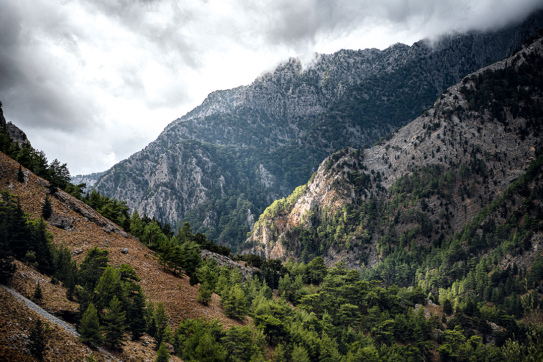 Κρήτη: Αναζητώντας το ξεχωριστό μέλι της Σαμαριάς-2