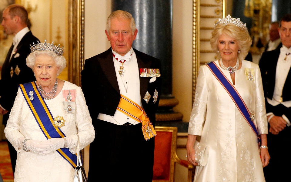 καμίλα-από-αντροχωρίστρα-και-ροτ-562034830