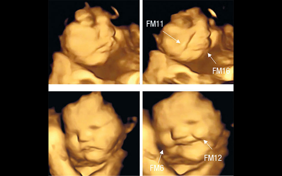 γευσιγνώστες-από-τη-μήτρα-562060981