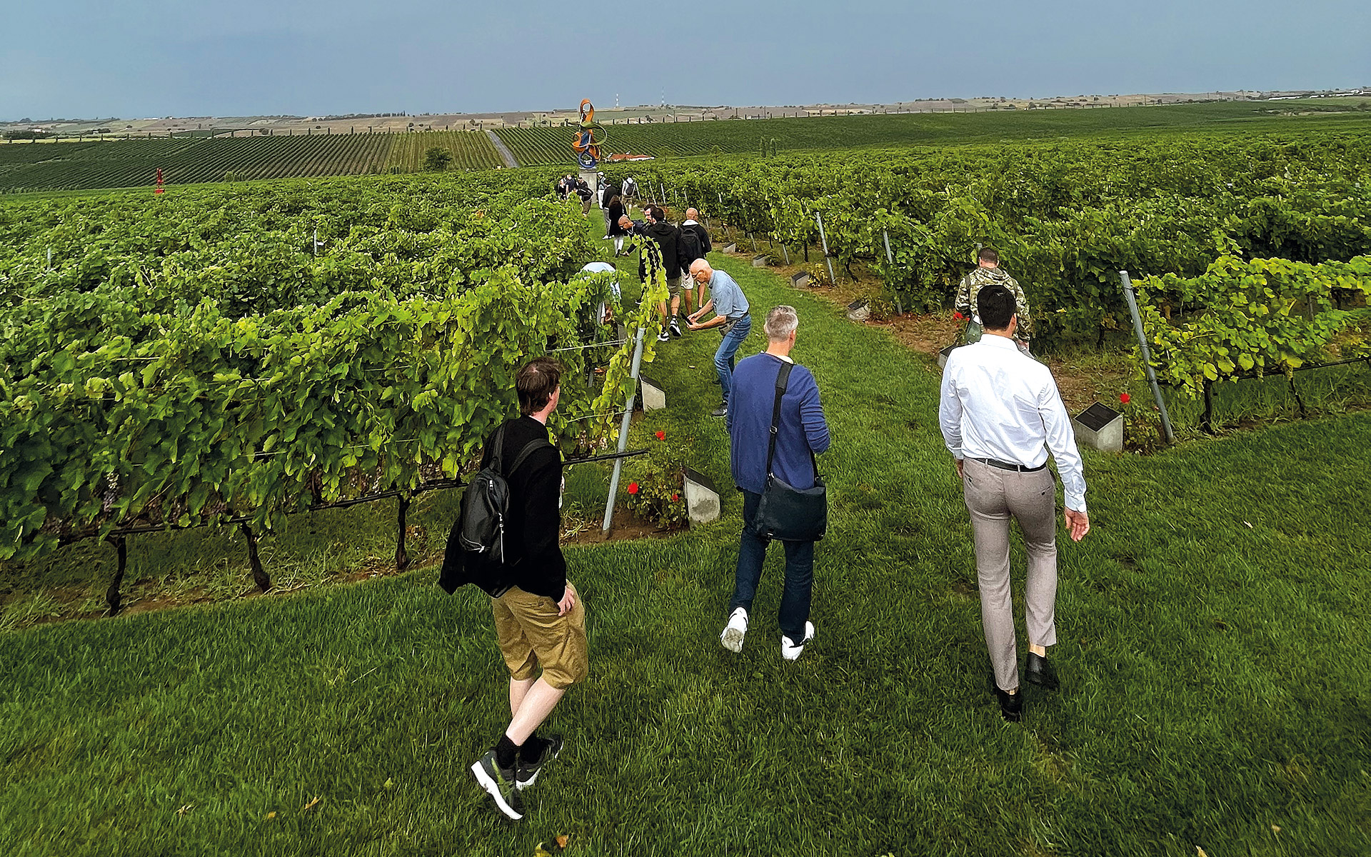 η-κατανάλωση-αλκοόλ-προκαλεί-ηπατικ-562056496