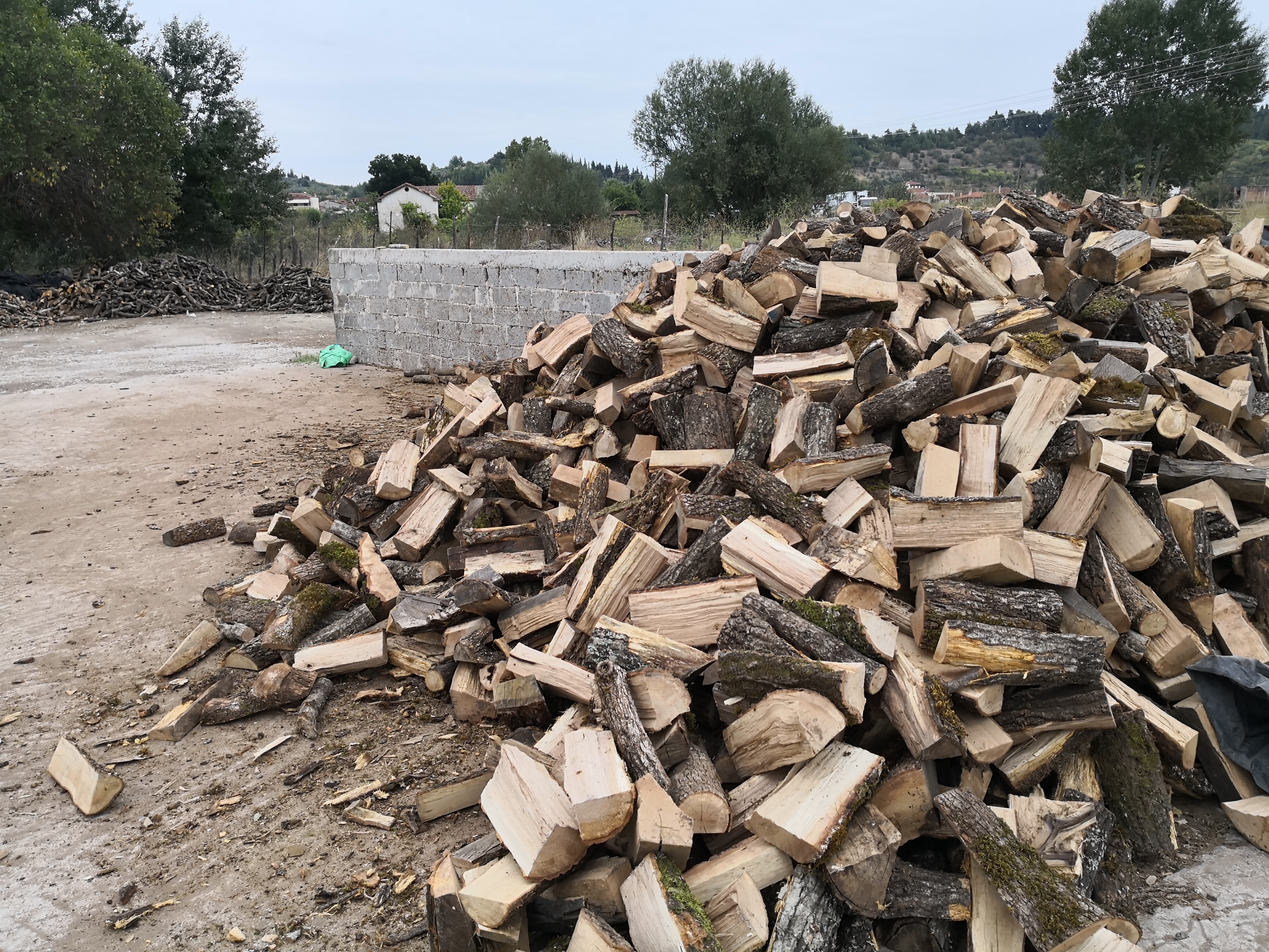 Καυσόξυλα: Ποια είναι πιο αποδοτικά – Τι πρέπει να προσέξουν οι καταναλωτές-1