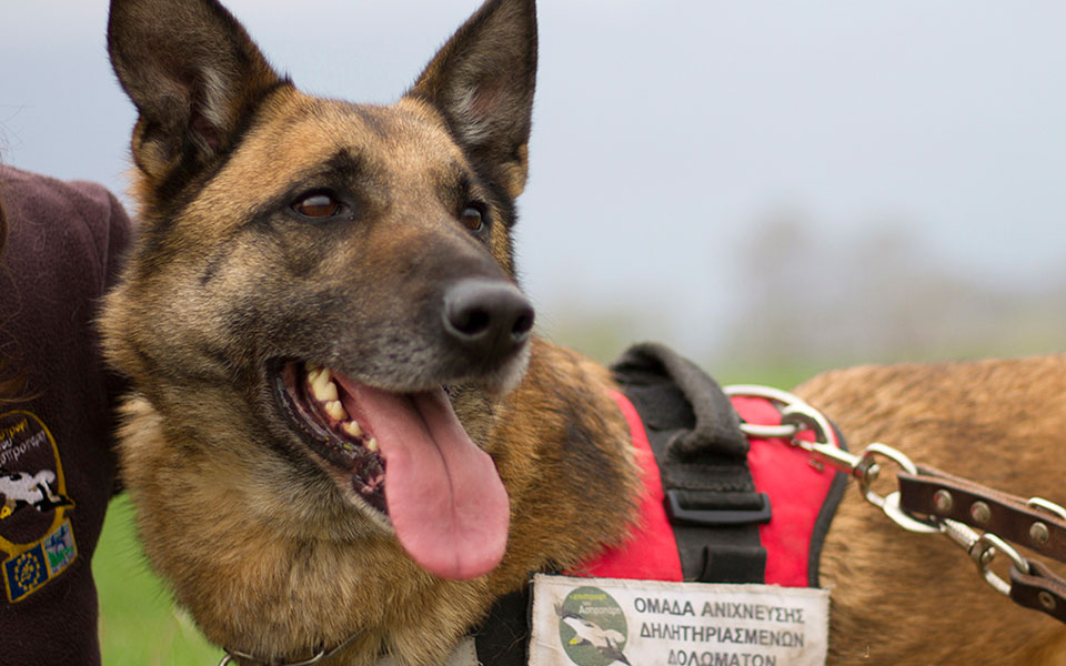Αγώνας σωτηρίας των ζώων από παγίδες θανάτου-2