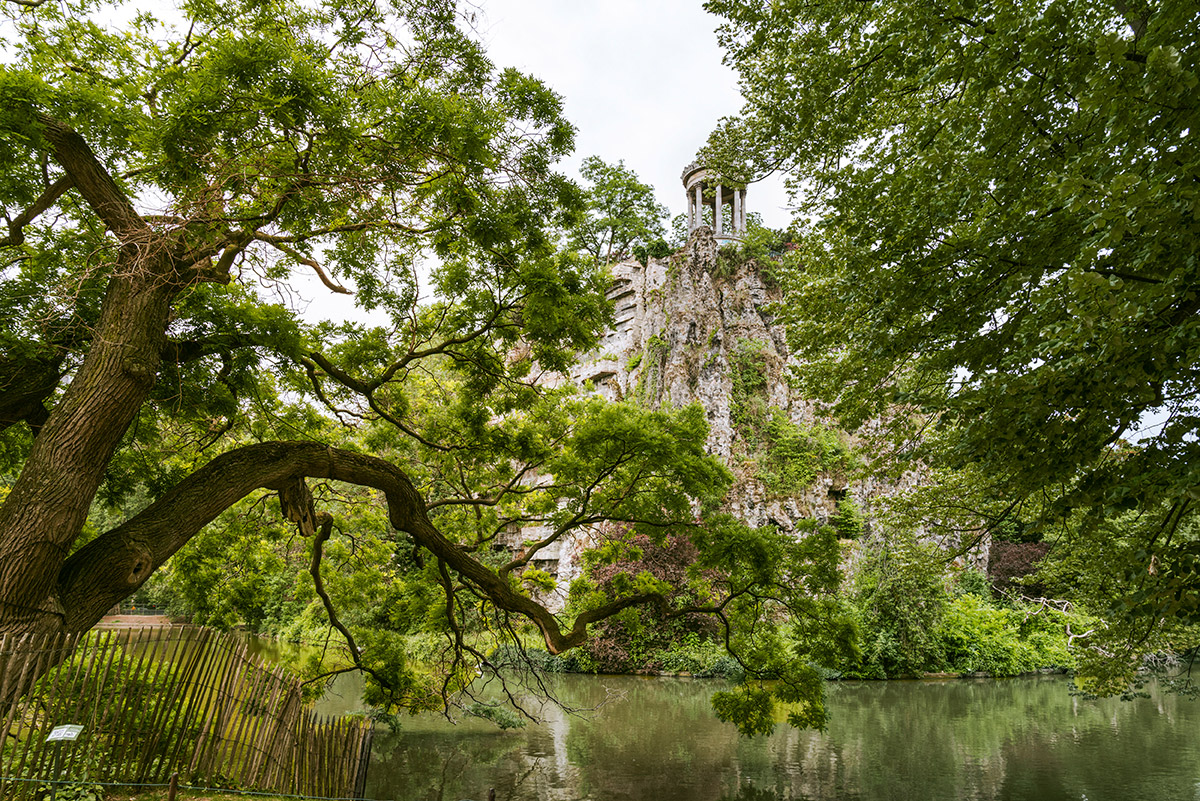 Τα αρχαία δέντρα του Παρισιού που έγιναν τοπόσημα-3