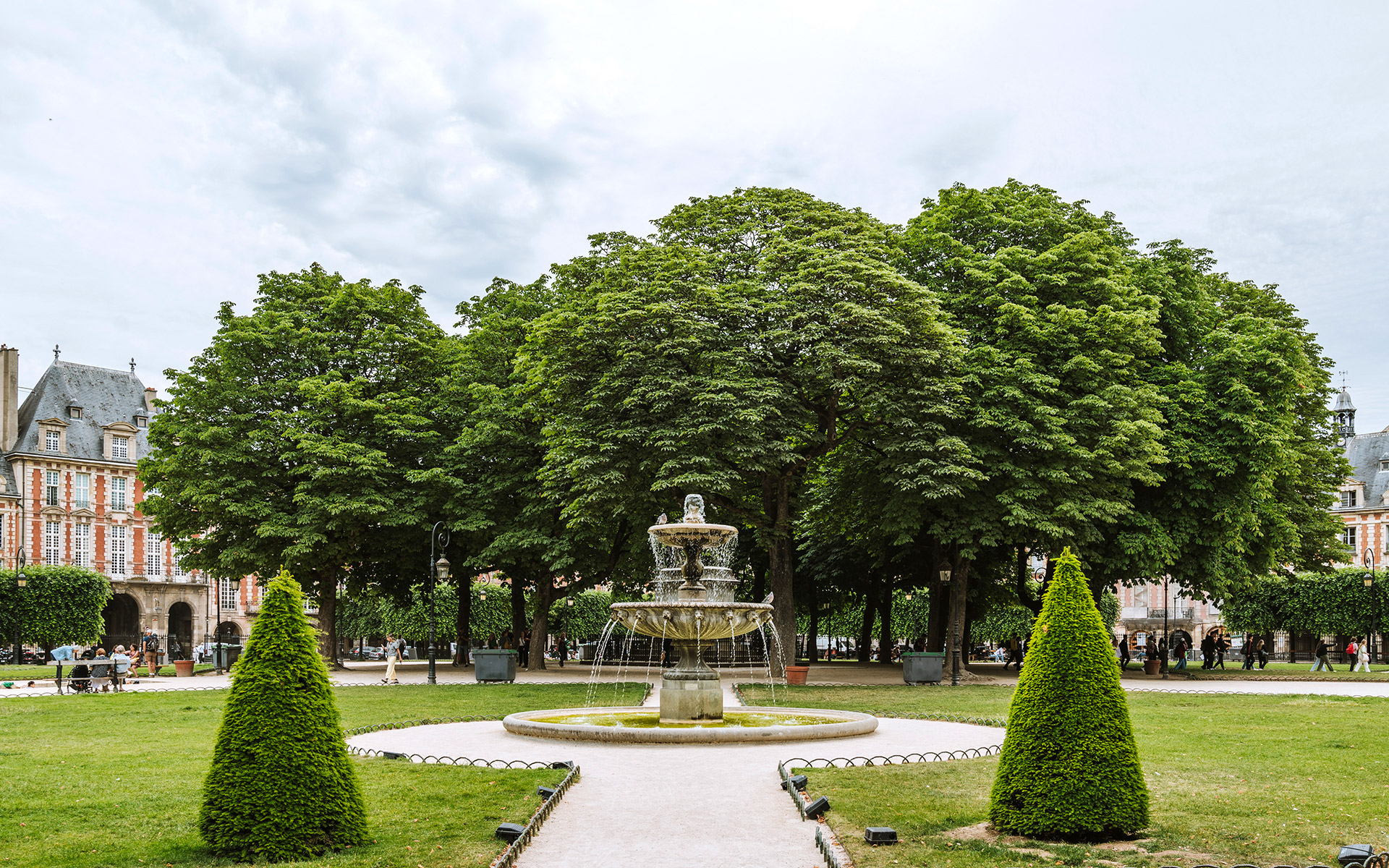 τα-αρχαία-δέντρα-του-παρισιού-που-έγιν-562046941
