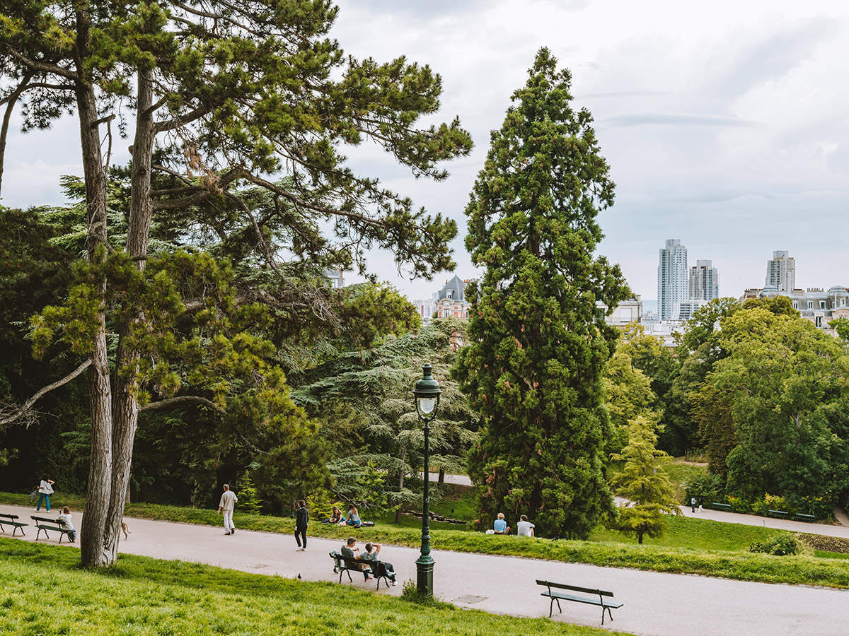 Τα αρχαία δέντρα του Παρισιού που έγιναν τοπόσημα-1