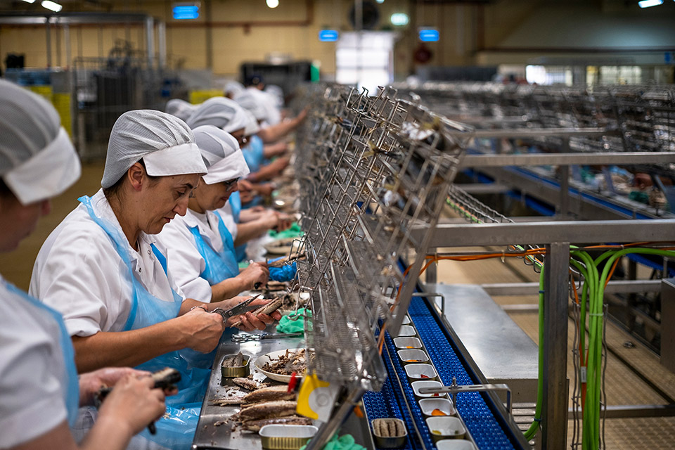 Πορτογαλία: Βουτιά στον κόσμο της σαρδέλας-4