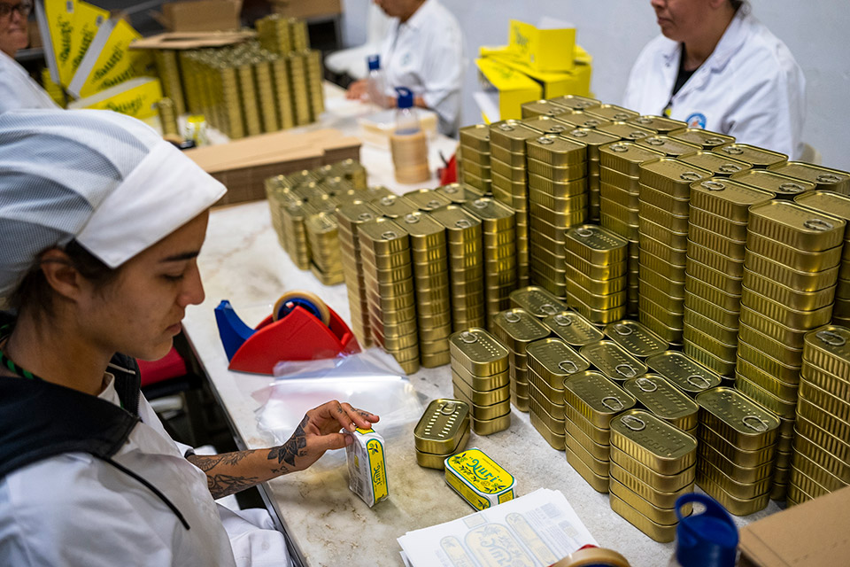 Πορτογαλία: Βουτιά στον κόσμο της σαρδέλας-5