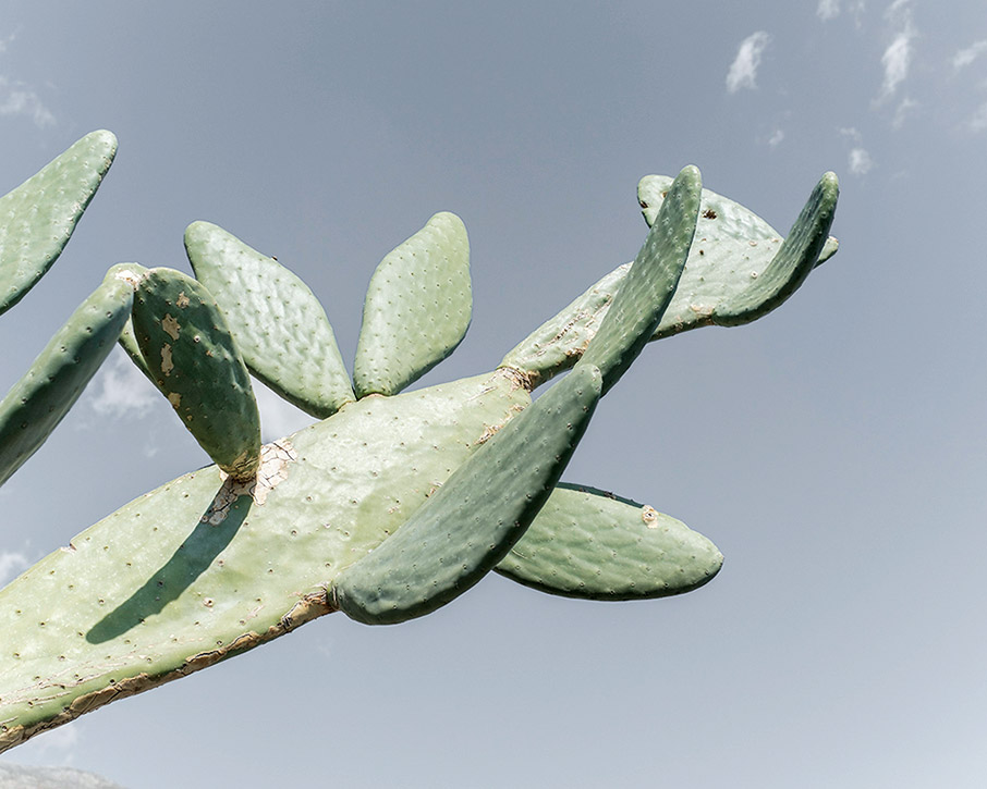 “Expressions of Light”: 43 έργα για την μαγεία του Αιγαίου-3