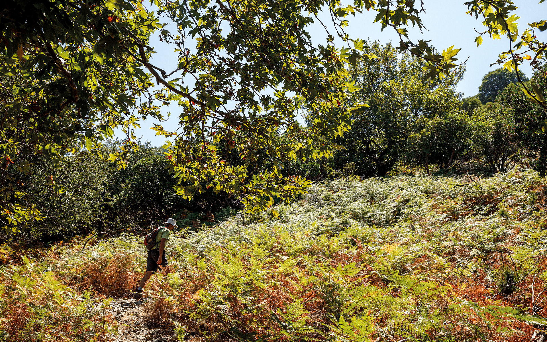 η-άγρια-ομορφιά-της-σαμοθράκης-562065730