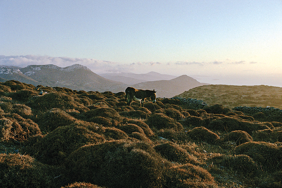 “Expressions of Light”: 43 έργα για την μαγεία του Αιγαίου-2