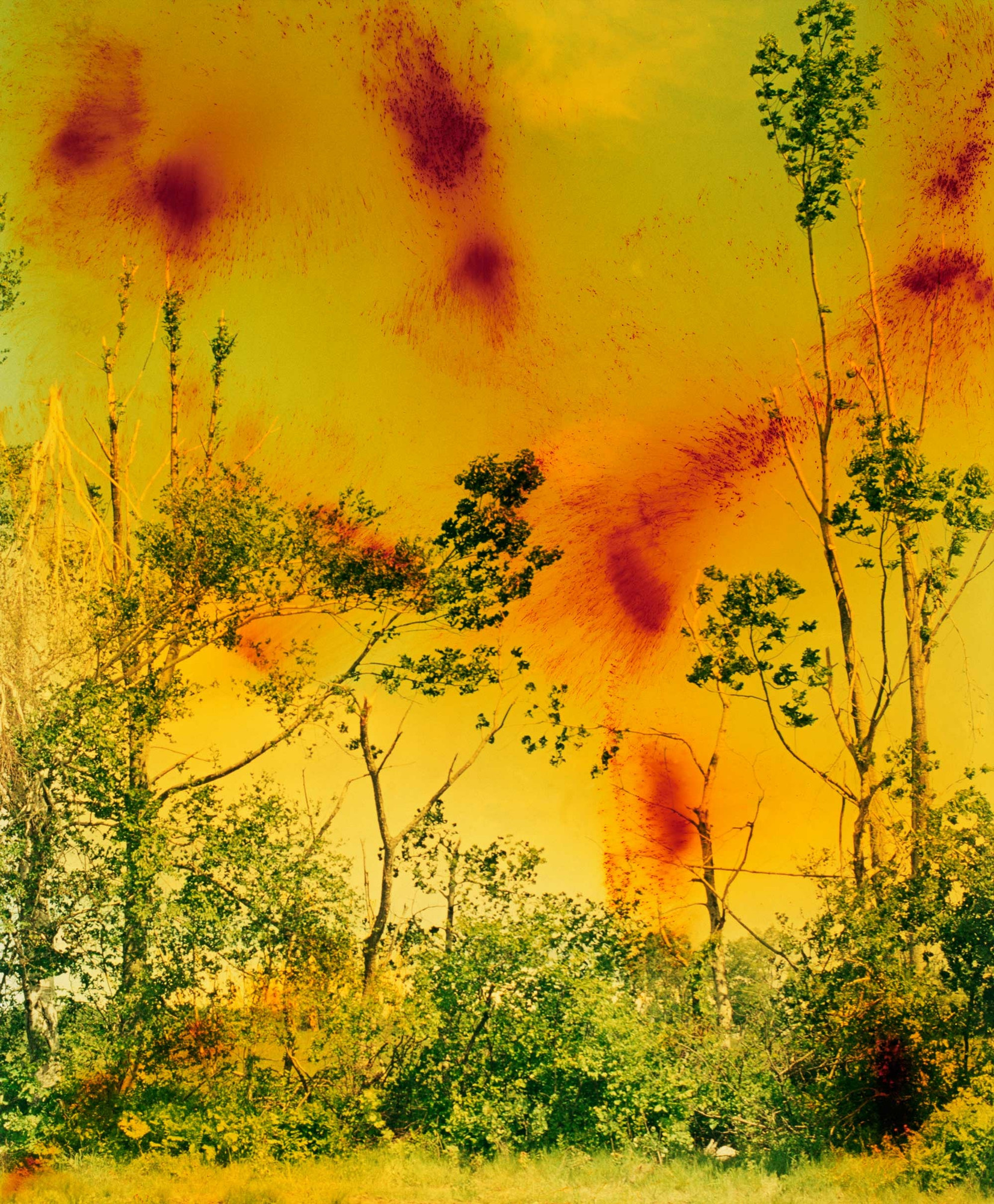 βόλφγκανγκ-τίλμανς-το-χάος-και-η-δημοκ-562026178