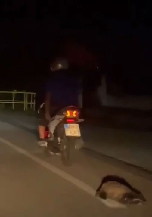 Κακοποίηση ζώων σε Καβάλα και Μέγαρα: Έσερνε ασβό με το μηχανάκι-1