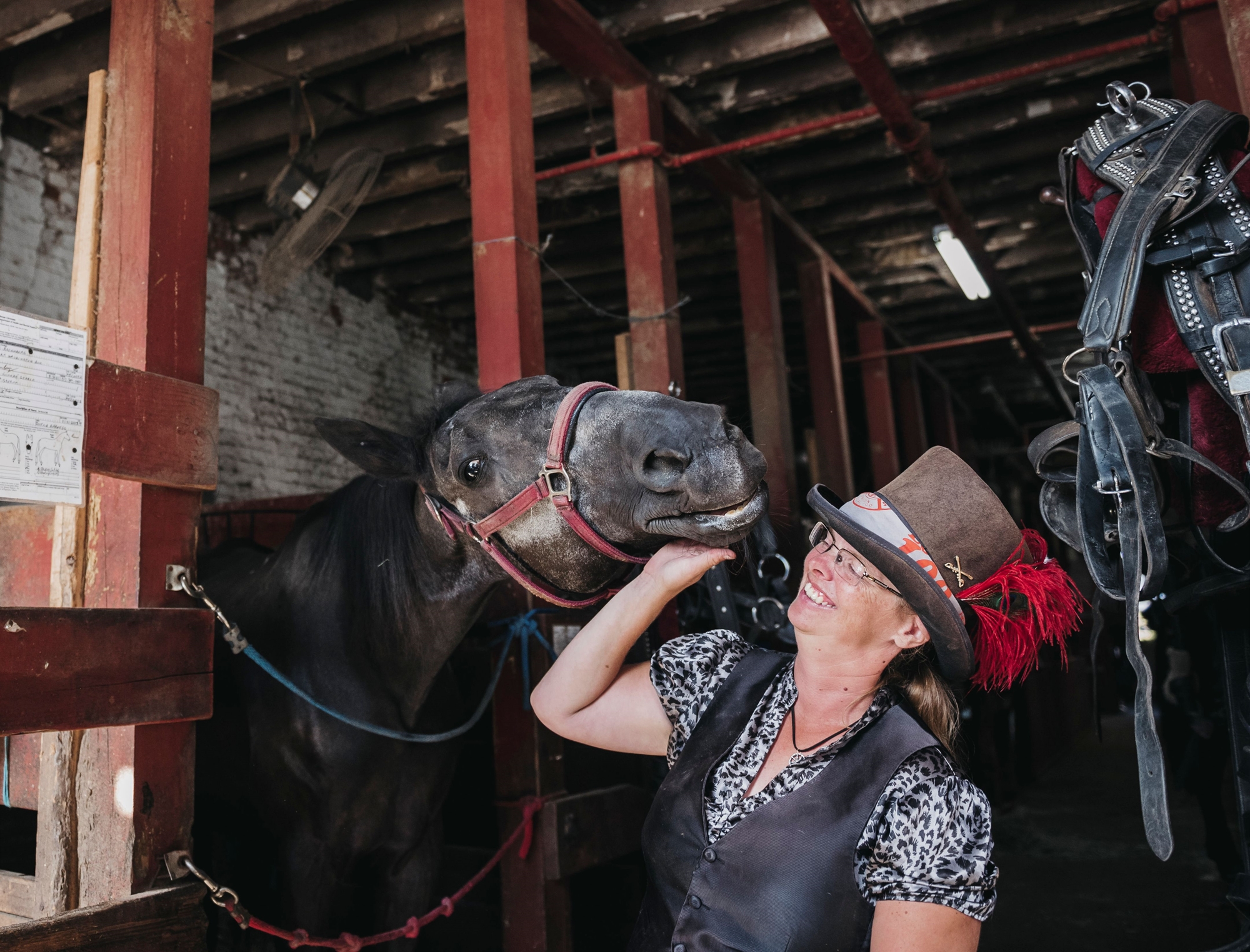 Τέλος για τα άλογα στη Νέα Υόρκη;-1