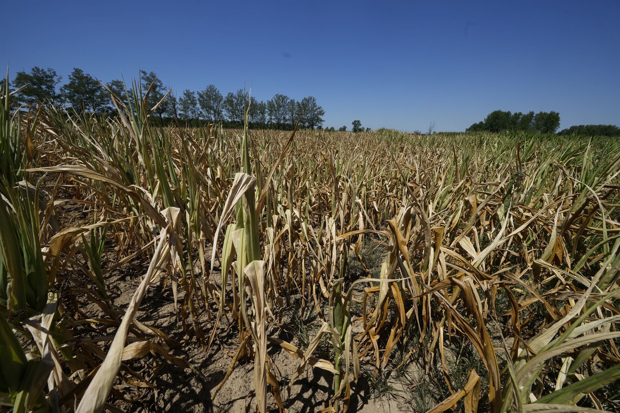 πρωτοφανής-ξηρασία-απειλεί-την-παγκό-562022017