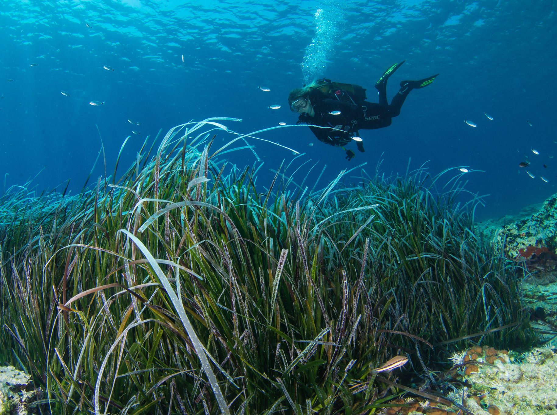 γυάρος-προσπάθειες-πέντε-ετών-χάθηκα-562030537