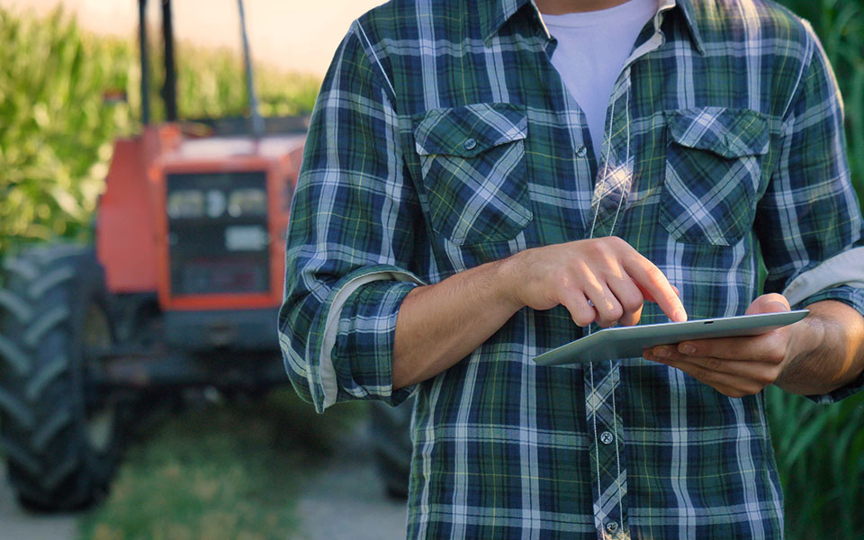 έως-τις-21-σεπτεμβρίου-παρατείνονται-οι-562045663