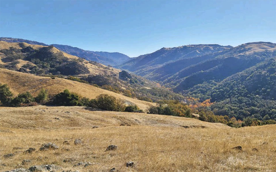 κίνδυνος-ερημοποίησης-περιοχών-της-α-562064341