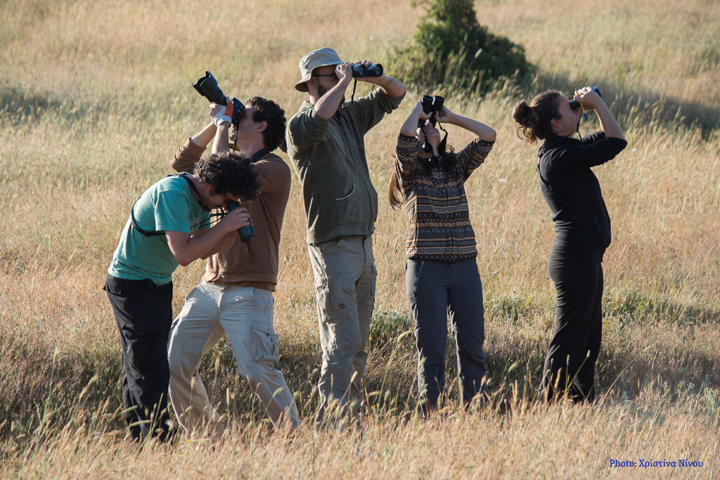 Οι επίμονοι φρουροί της άγριας φύσης-3