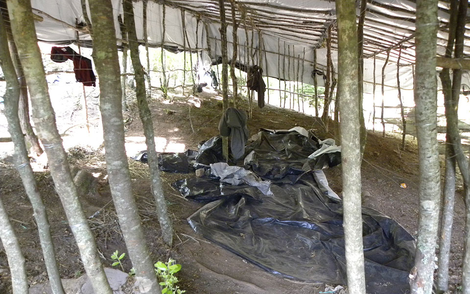 Φητεία-μαμούθ με 5.052 δενδρύλλια κάνναβης στον Όλυμπο – Στα 40 εκατ. ευρώ τα εκτιμώμενα κέρδη-1