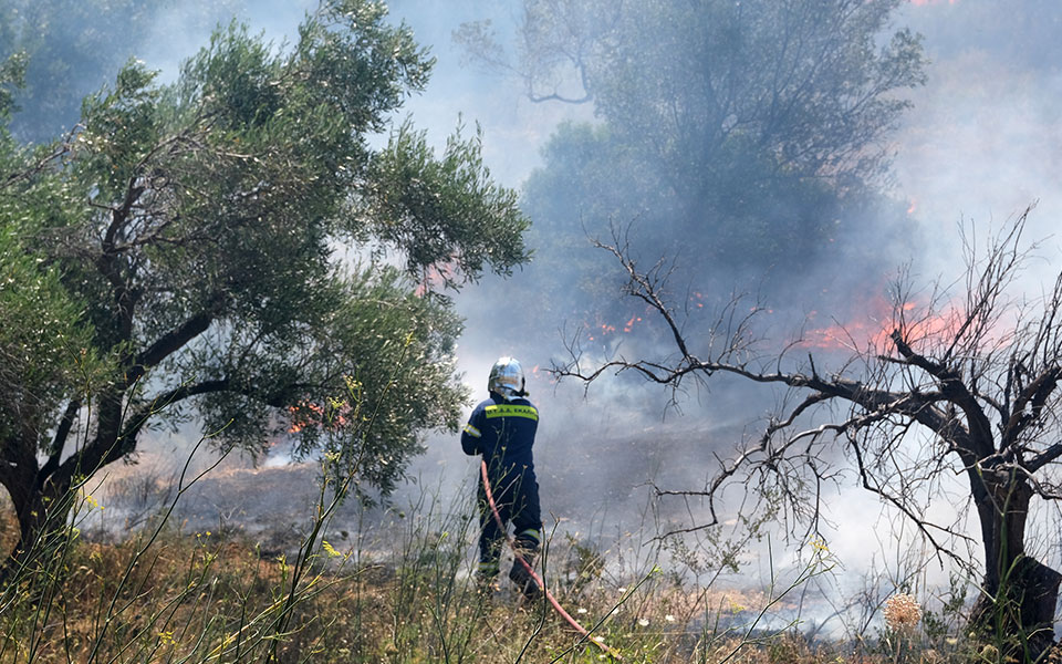 φωτιά-τώρα-στην-κεφαλονιά-562027408