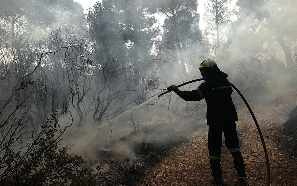 φωτιά-τώρα-στην-αφροξυλιά-ναυπάκτου-562033234