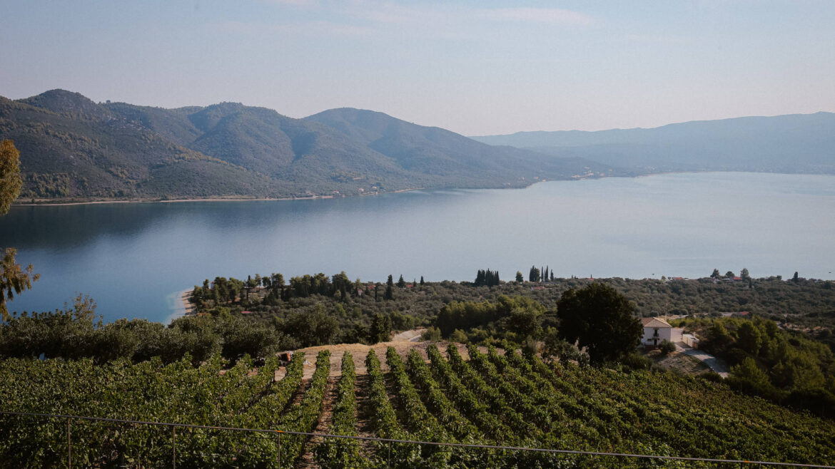 τα-οινοποιεία-της-εύβοιας-αρχαίες-ποι-562049596