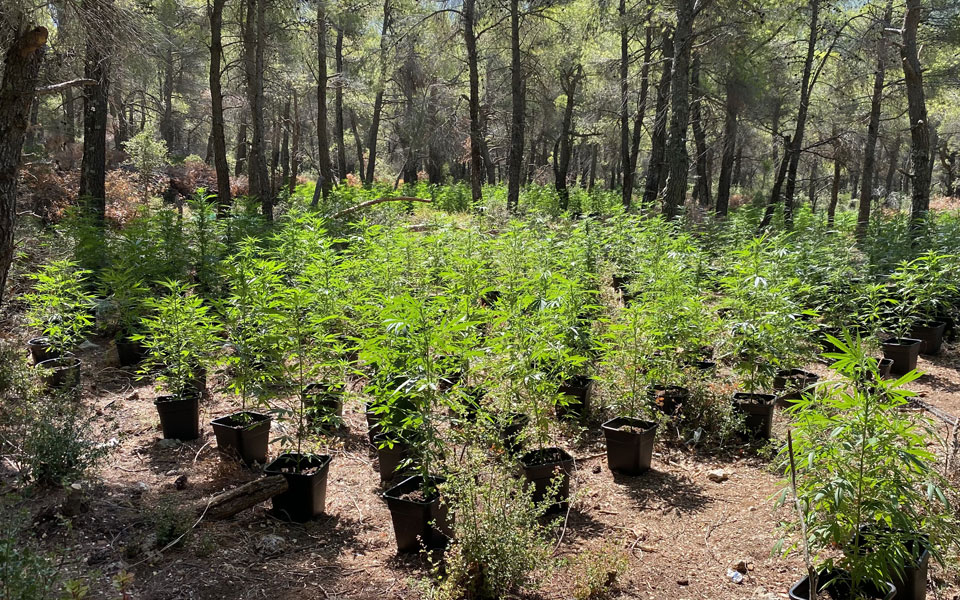 θεσσαλονίκη-εξάρθρωση-εγκληματικής-562022404