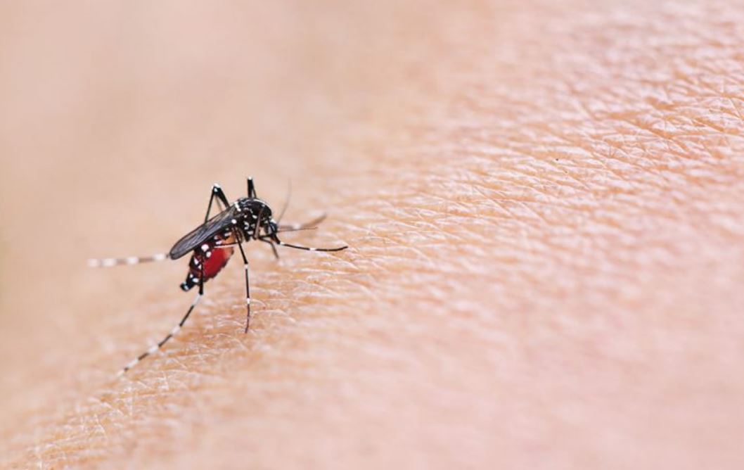 εοδυ-235-κρούσματα-λοίμωξης-από-τον-ιό-το-562053046