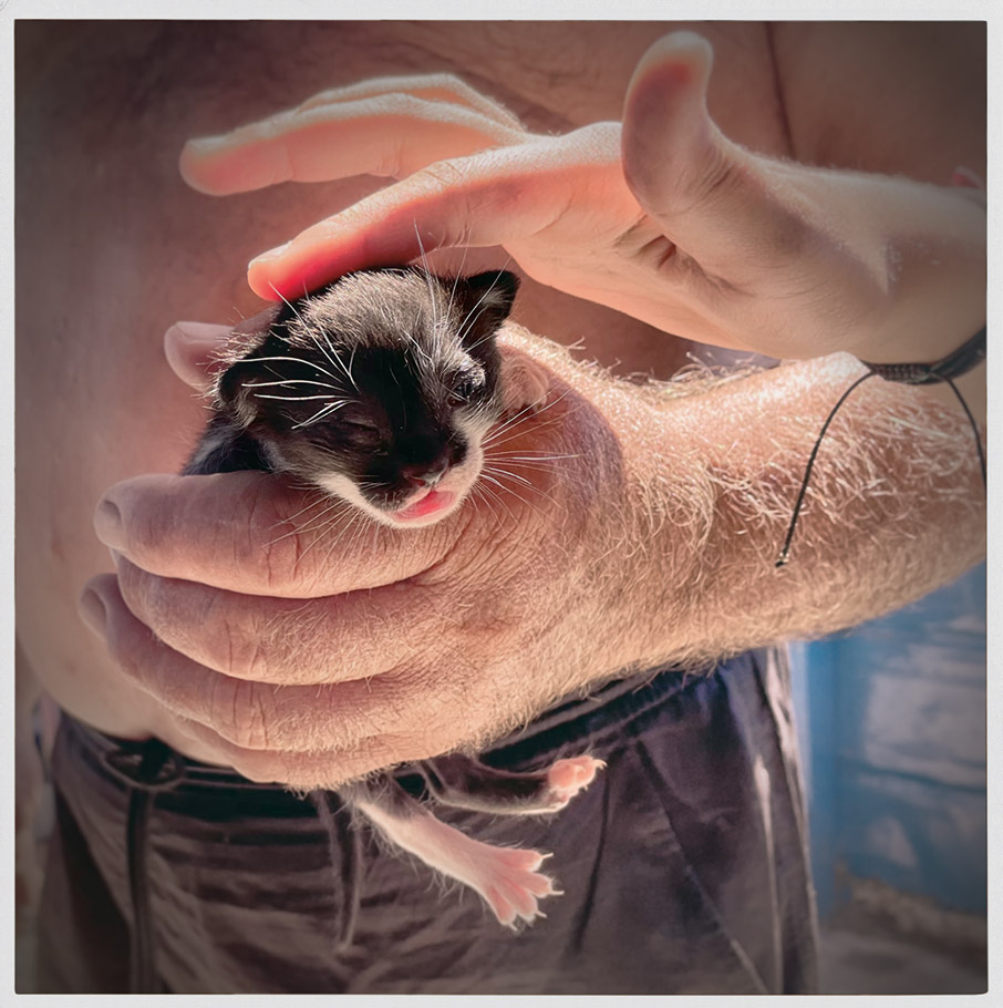 Στην Πολύαιγο, η Τσουκαρέλα, η Ρόσα και η Τζίνα ανακάλυψαν τα όρια της διαφορετικότητας-3