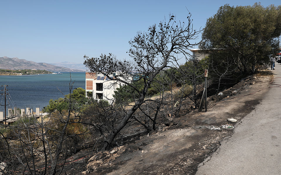 άνοιξε-η-πλατφόρμα-για-τους-πυρόπληκτ-562047256