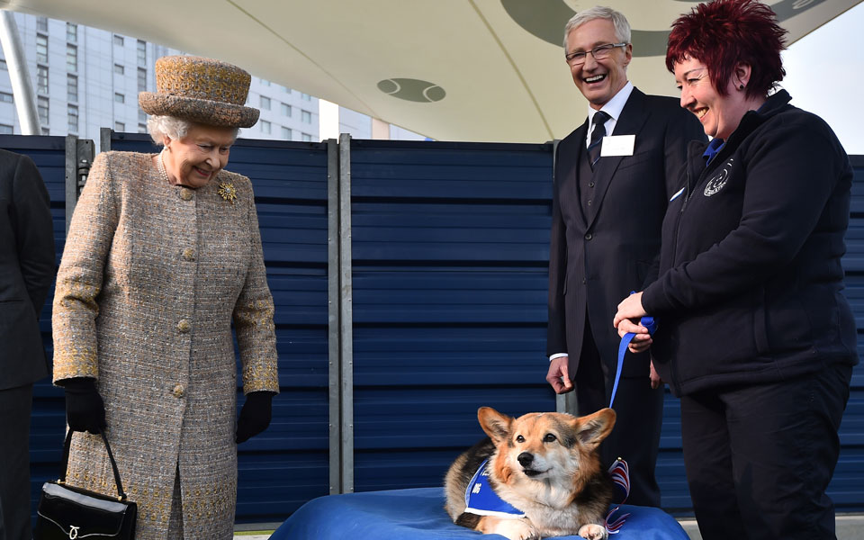 τι-θα-απογίνουν-τα-αγαπημένα-σκυλιά-τη-562036015
