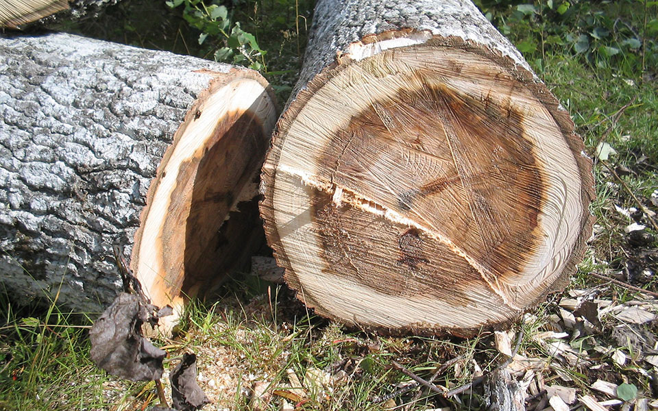 σέρρες-60χρονος-έχασε-τη-ζωή-του-στην-πρ-562061614