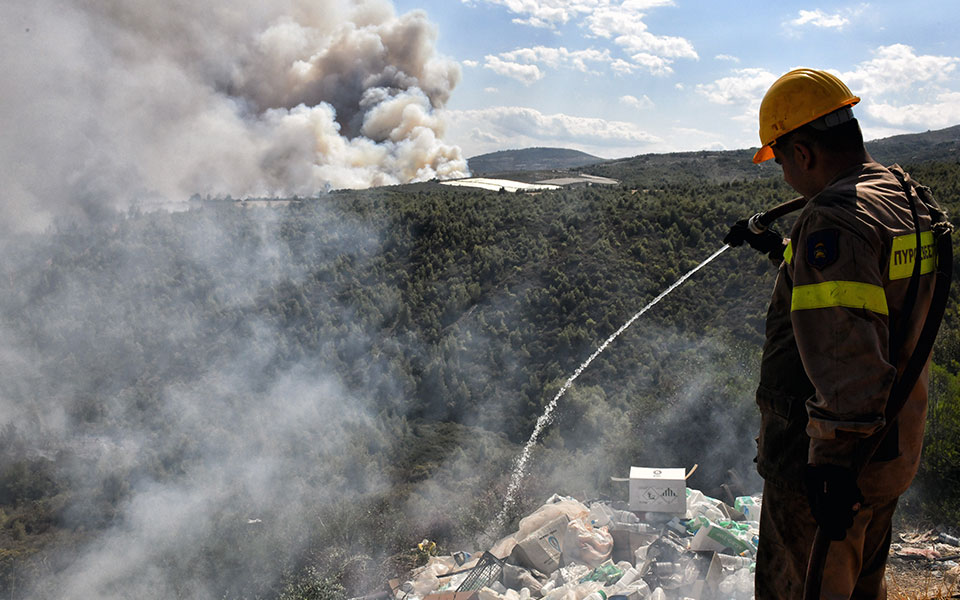 φωτιά-τώρα-στην-τανάγρα-562043251