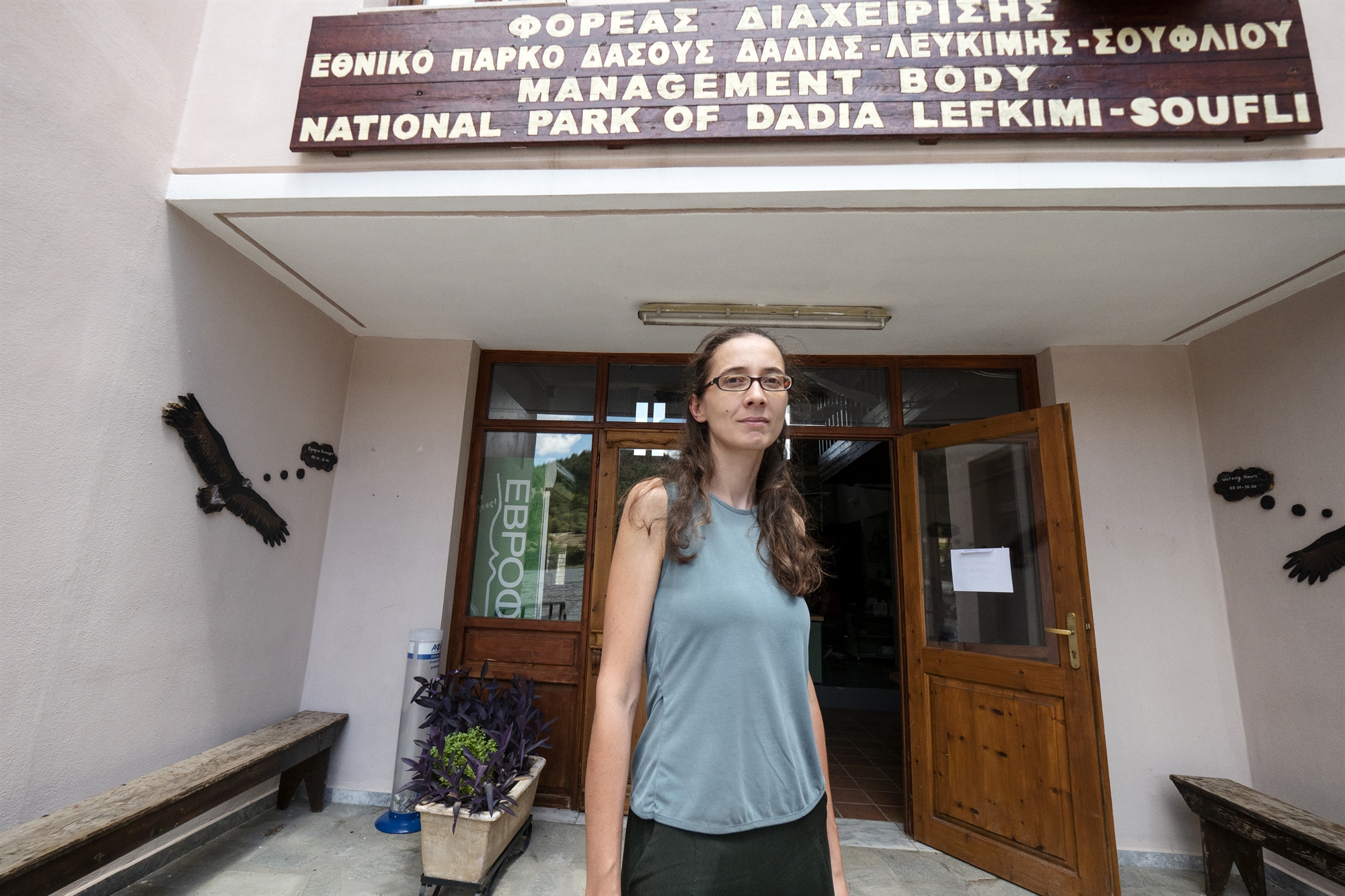 Δαδιά: Οι καμένες φωλιές και η ελπίδα για επιστροφή των σπάνιων πτηνών-2