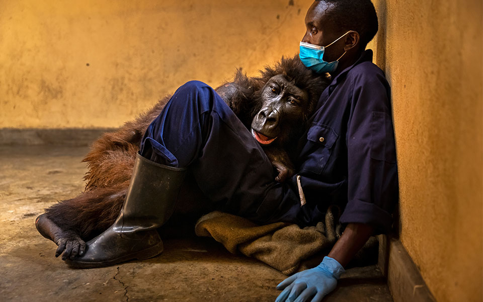 Wildlife Photographer of the Year: Διάκριση Έλληνα φωτογράφου στους καλύτερους του κόσμου-1