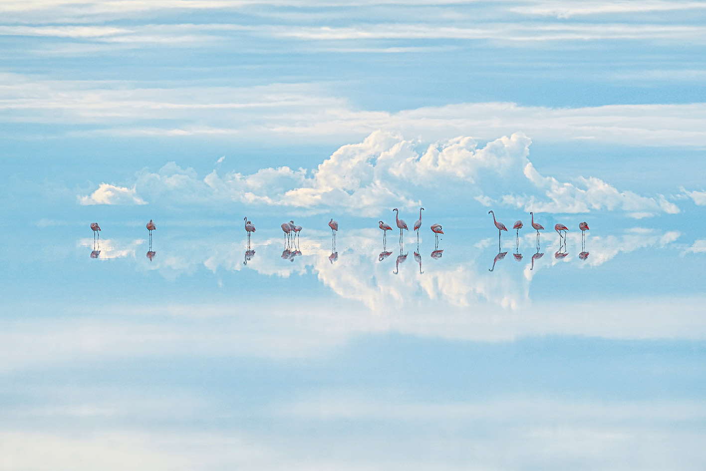 Η άγρια φύση κάνει buzz στα βραβεία Wildlife Photographer of the Year-1
