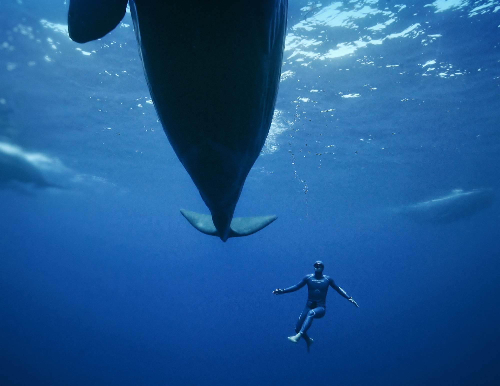 «Απίστευτα ανθεκτική η φύση»-2