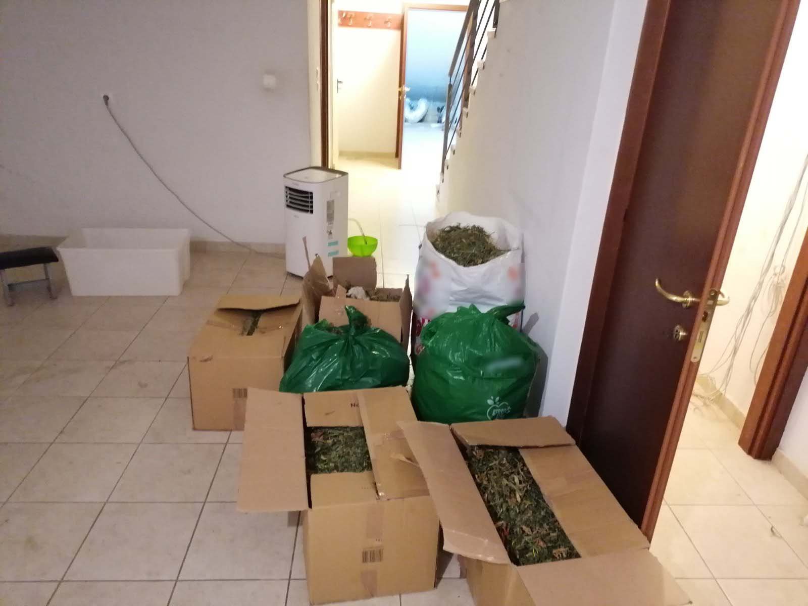 Θεσσαλονίκη: Χειροπέδες σε δύο άτομα για εμπορία ναρκωτικών – Κατασχέθηκαν περισσότερα από 10 κιλά κάνναβης-1