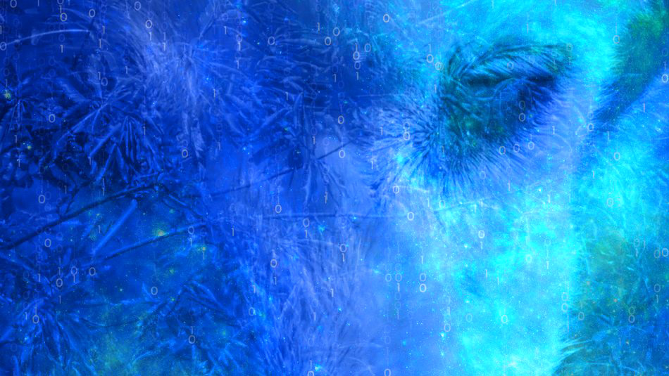 Το «Ημερολόγιο ενός σκύλου» της Violet Louise για λίγες παραστάσεις-1