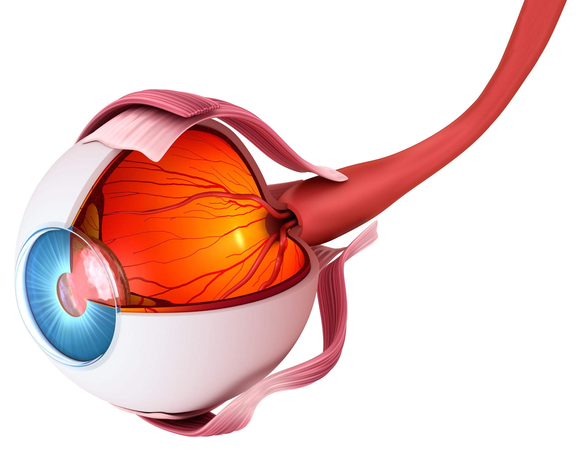 Νέα οπτική για τη θεραπεία του γλαυκώματος-1