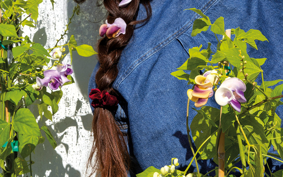 σαλίγκαρος-το-φυτό-που-αναρριχάται-μέ-562111900