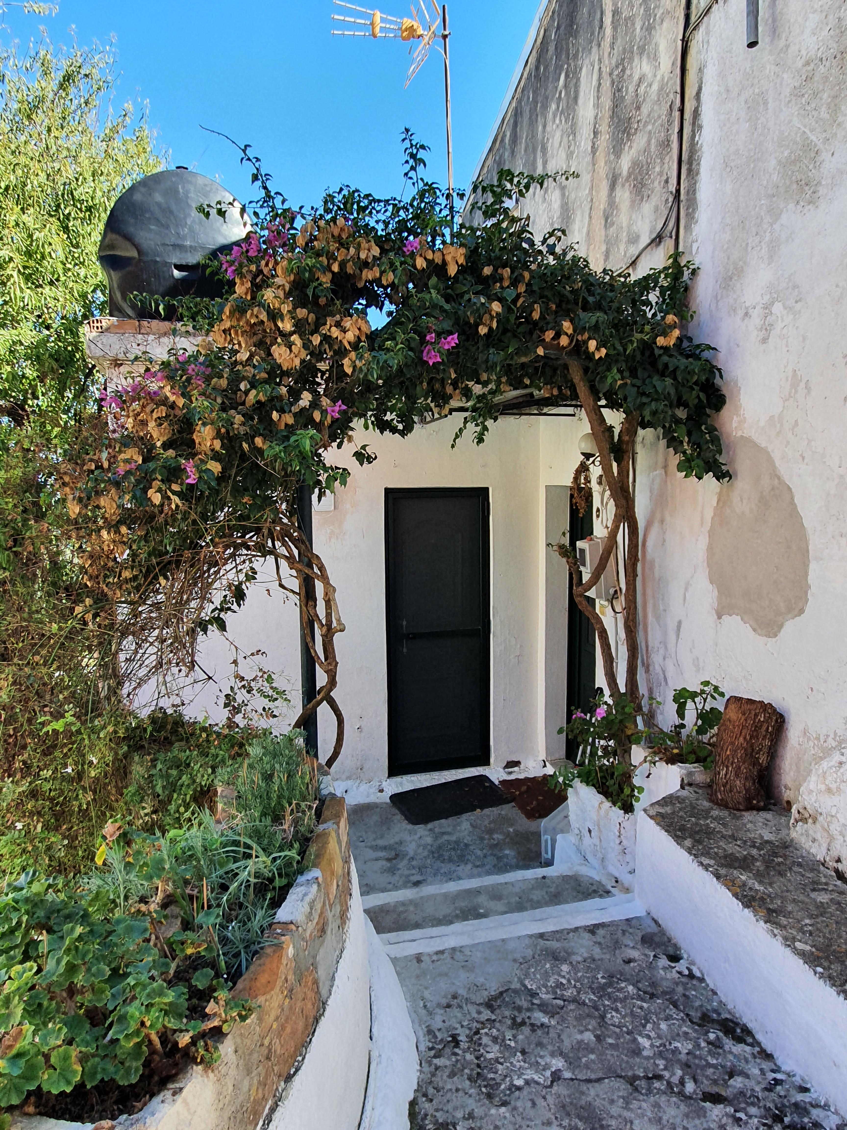 Kέρκυρα: Πέλεκας, το παραμυθένιο χωριό που αγάπησε ο Κάιζερ-2