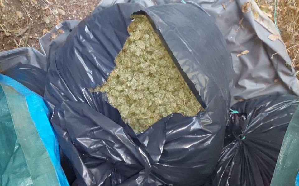 εξαρθρώθηκε-σπείρα-η-οποία-γέμιζε-κ-562114729