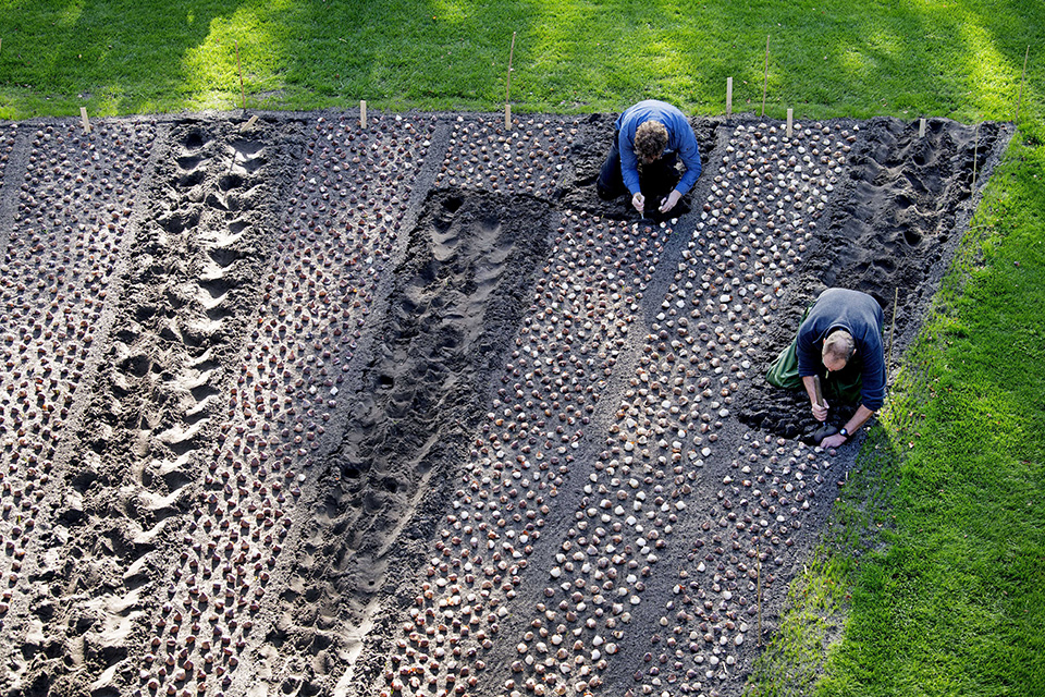 Για την άνοιξη