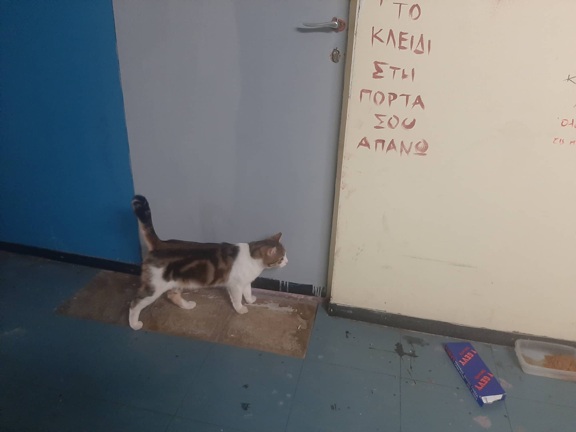 Αυτοψία στις εστίες της Πολυτεχνειούπολης – Φοιτητές περιγράφουν στην «Κ» την καθημερινότητά τους-1