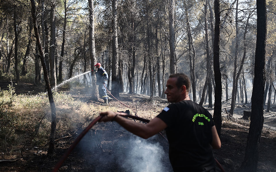 φωτιά-τώρα-στο-καβούρι-ηλείας-562081483