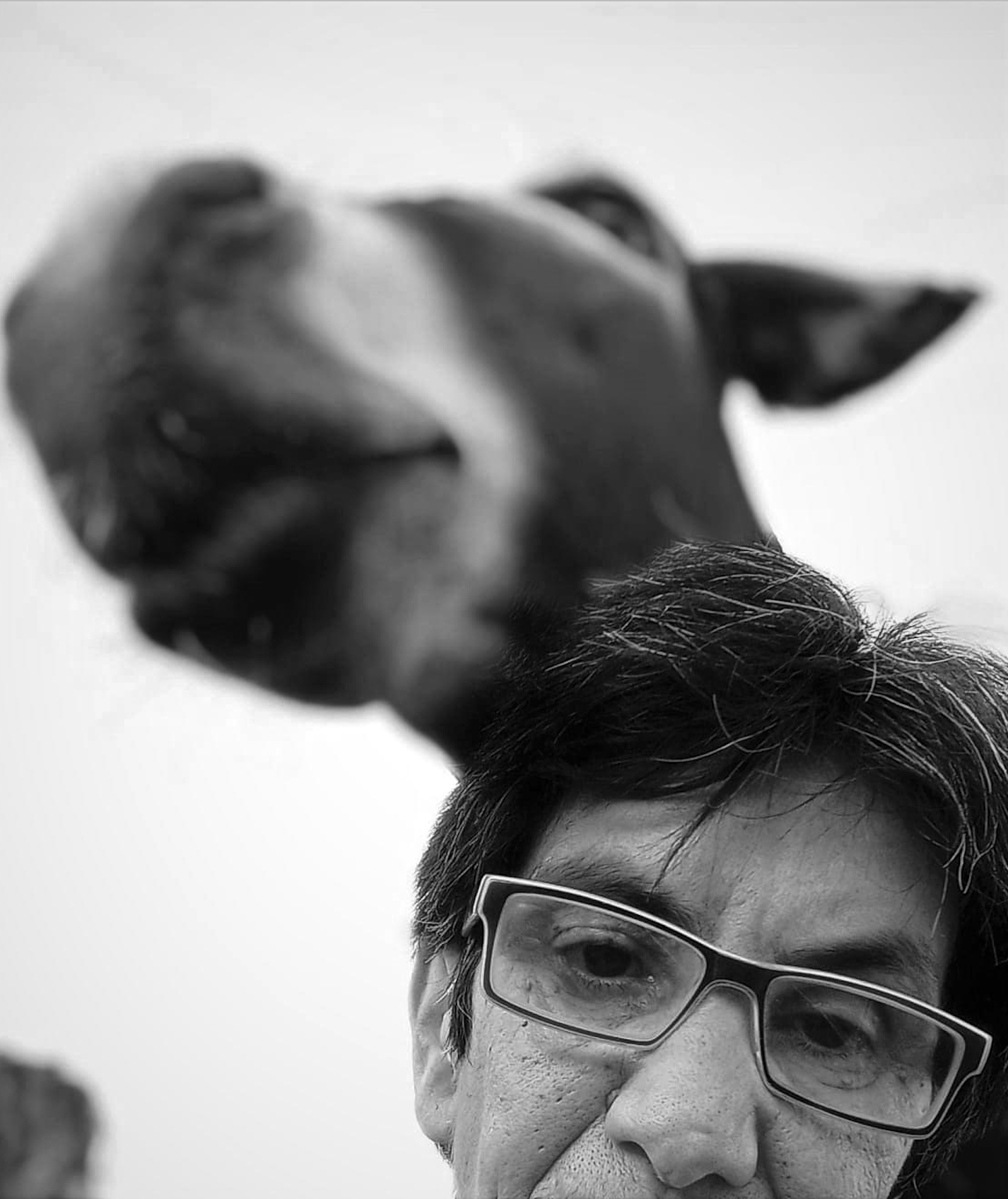 Είναι ανήθικο να τρώμε ζώα;-2