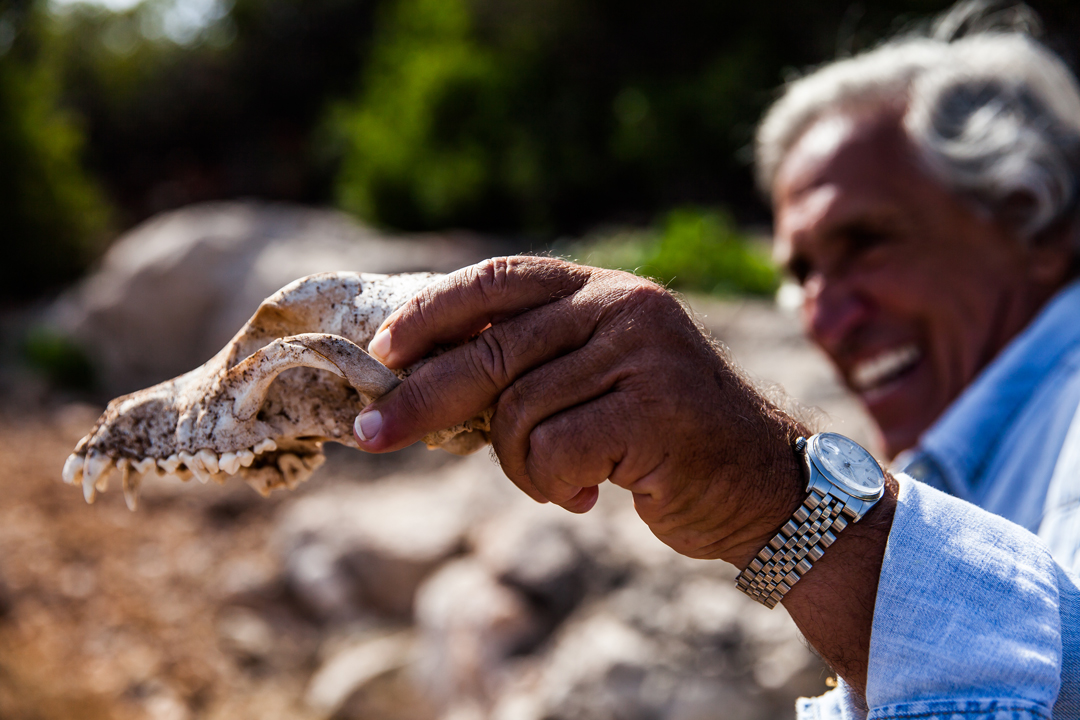 αδωνις-κύρου-έξι-δεκαετίες-ιχνηλάτησ-562074538