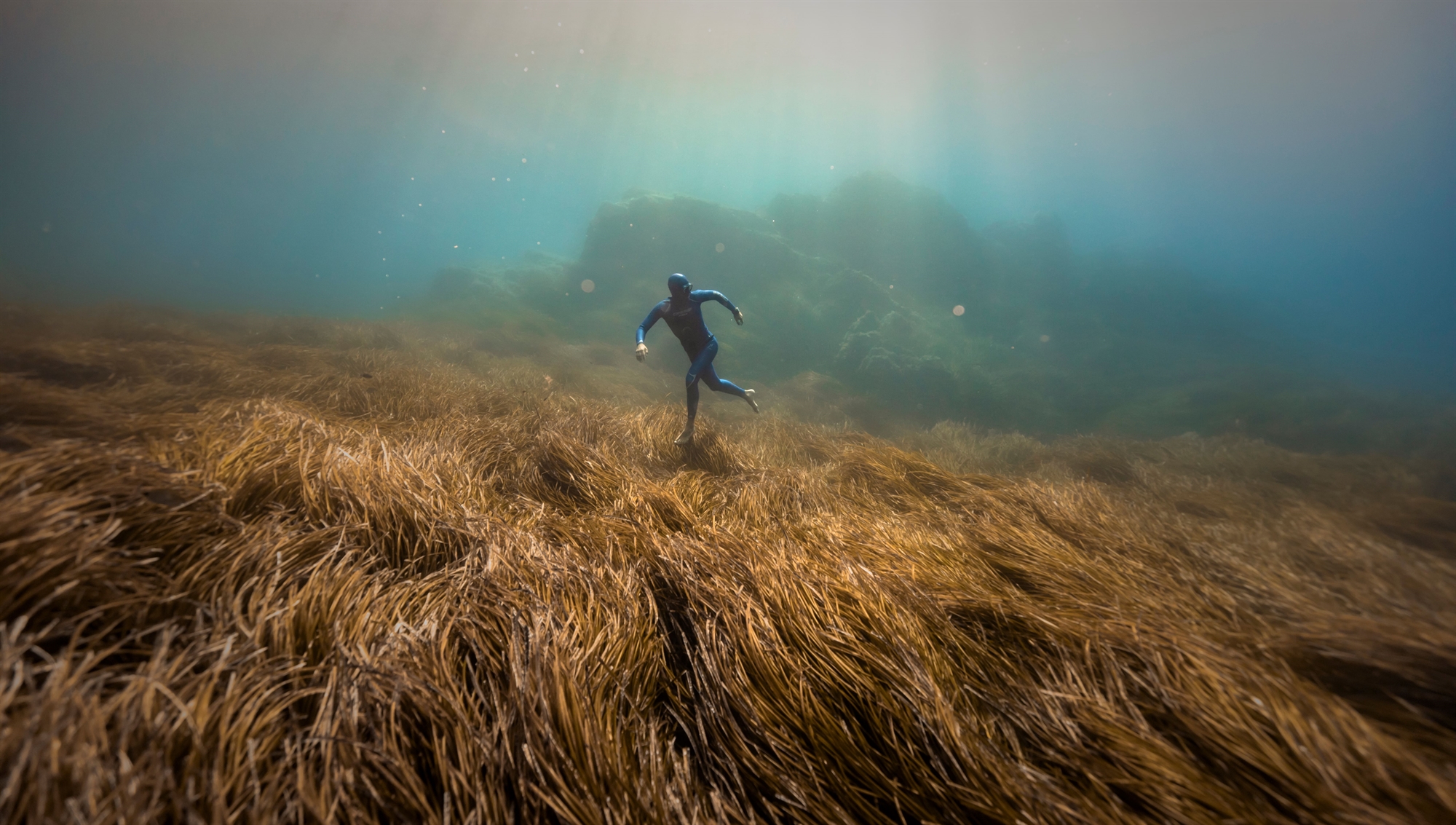 απίστευτα-ανθεκτική-η-φύση-562081936