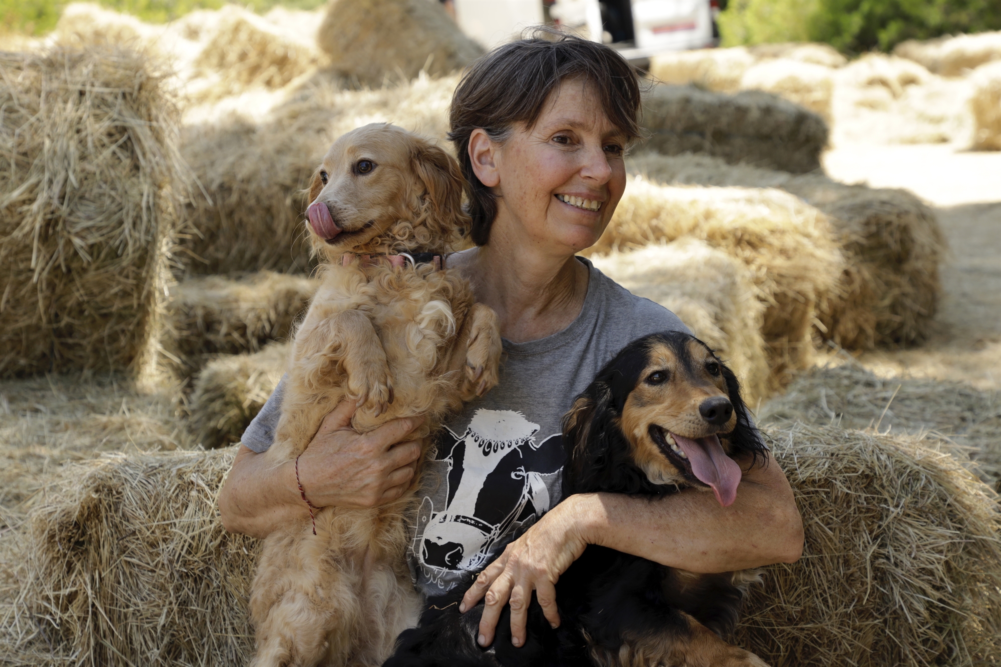 Είναι ανήθικο να τρώμε ζώα;-3